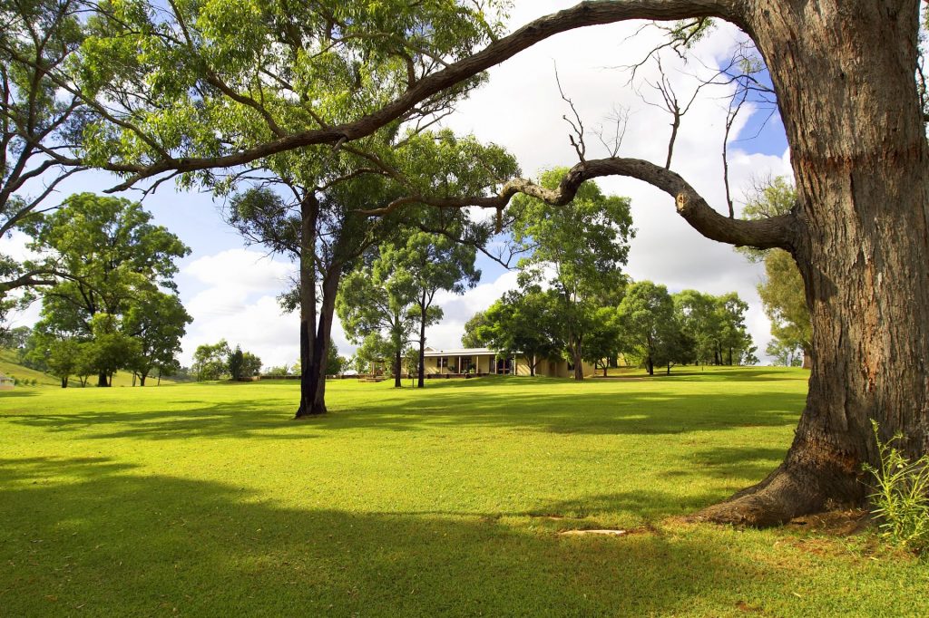 Terry Brew  – Kentucky Turf Nursery Pty Ltd property