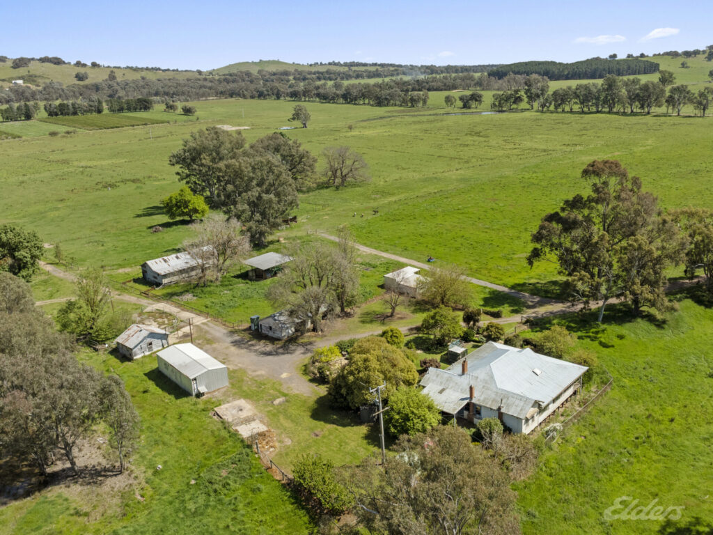 Di Aumann property